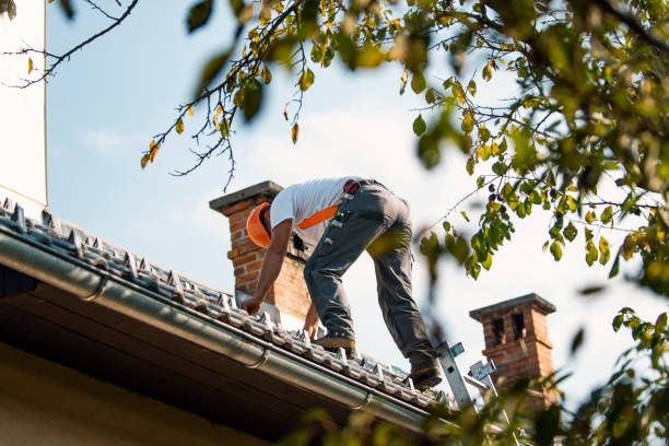 Best Gutter Installation and Roofing  in Columbus, WI